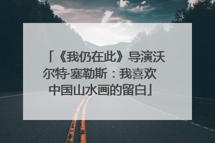 《我仍在此》导演沃尔特·塞勒斯：我喜欢中国山水画的留白