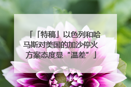 「特稿」以色列和哈马斯对美国的加沙停火方案态度显“温差”