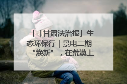 「甘肃法治报」生态环保行｜景电二期“焕新”，在荒漠上筑起一道绿色长城