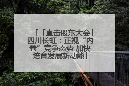 「直击股东大会」四川长虹：正视“内卷”竞争态势 加快培育发展新动能