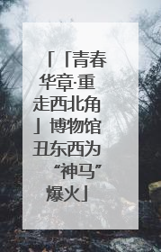「青春华章·重走西北角」博物馆丑东西为“神马”爆火