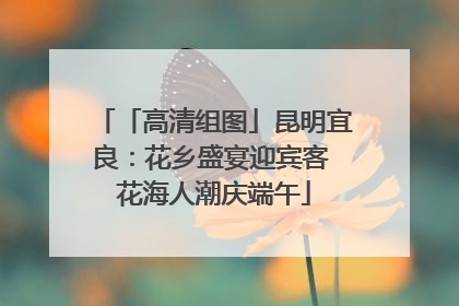 「高清组图」昆明宜良：花乡盛宴迎宾客 花海人潮庆端午