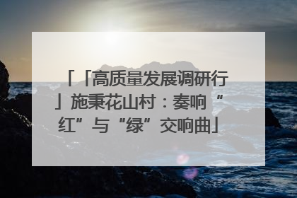 「高质量发展调研行」施秉花山村：奏响“红”与“绿”交响曲