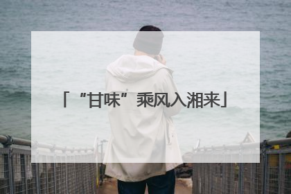 “甘味”乘风入湘来