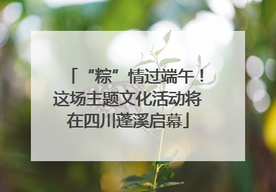 “粽”情过端午！这场主题文化活动将在四川蓬溪启幕