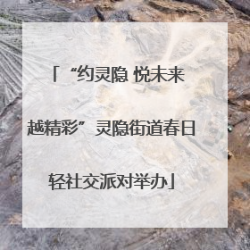 “约灵隐 悦未来 越精彩”灵隐街道春日轻社交派对举办