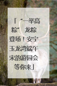 “一举高粽” 龙粽登场！安宁玉龙湾端午宋韵游园会等你来