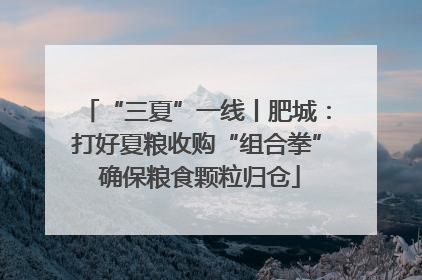 “三夏”一线丨肥城：打好夏粮收购“组合拳” 确保粮食颗粒归仓