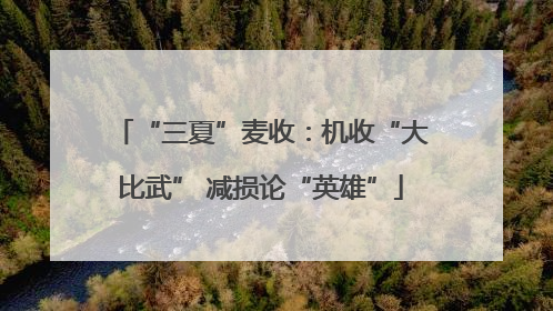 “三夏”麦收：机收“大比武” 减损论“英雄”