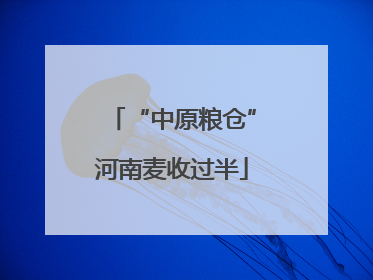 “中原粮仓”河南麦收过半