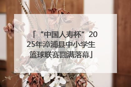 “中国人寿杯”2025年漳浦县中小学生篮球联赛圆满落幕