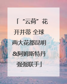 “云荷”花开并蒂 全球两大花都昆明&阿姆斯特丹强强联手