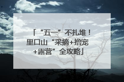 “五一”不扎堆！里口山“采摘+撸宠+露营”全攻略