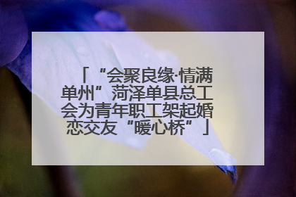 “会聚良缘·情满单州”菏泽单县总工会为青年职工架起婚恋交友“暖心桥”