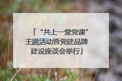 “共上一堂党课”主题活动暨党建品牌建设座谈会举行
