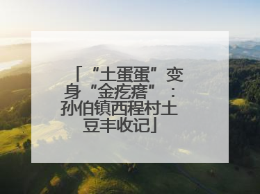“土蛋蛋”变身“金疙瘩”：孙伯镇西程村土豆丰收记