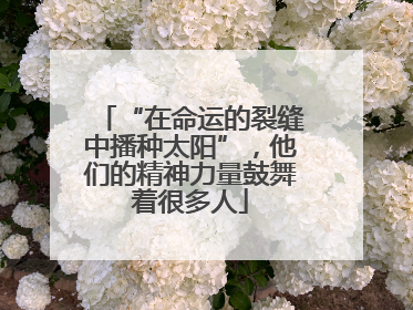 “在命运的裂缝中播种太阳”，他们的精神力量鼓舞着很多人