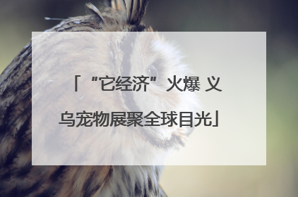 “它经济”火爆 义乌宠物展聚全球目光