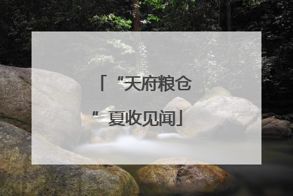 “天府粮仓”夏收见闻