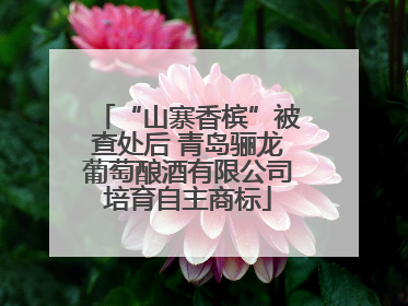 “山寨香槟”被查处后 青岛骊龙葡萄酿酒有限公司培育自主商标
