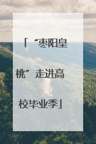 “枣阳皇桃”走进高校毕业季