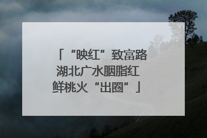 “映红”致富路 湖北广水胭脂红鲜桃火“出圈”