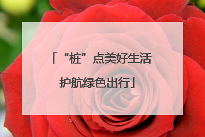 “桩”点美好生活 护航绿色出行