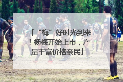 “梅”好时光到来！杨梅开始上市，产量丰富价格亲民