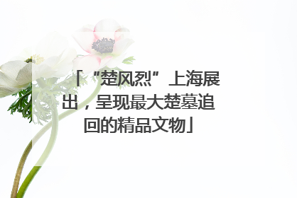 “楚风烈”上海展出，呈现最大楚墓追回的精品文物