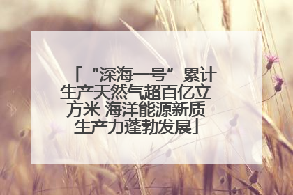 “深海一号”累计生产天然气超百亿立方米 海洋能源新质生产力蓬勃发展
