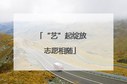“艺”起绽放 志愿相随