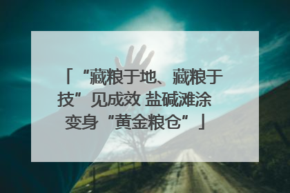 “藏粮于地、藏粮于技”见成效 盐碱滩涂变身“黄金粮仓”