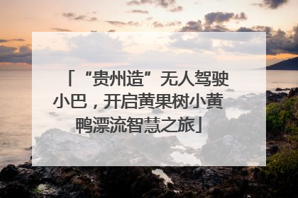 “贵州造”无人驾驶小巴，开启黄果树小黄鸭漂流智慧之旅