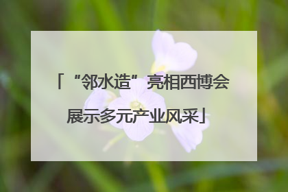 “邻水造”亮相西博会 展示多元产业风采