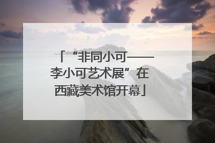 “非同小可——李小可艺术展”在西藏美术馆开幕