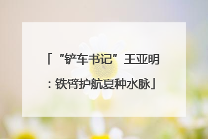 “铲车书记”王亚明：铁臂护航夏种水脉