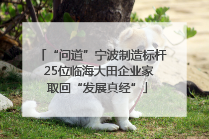 “问道”宁波制造标杆 25位临海大田企业家取回“发展真经”