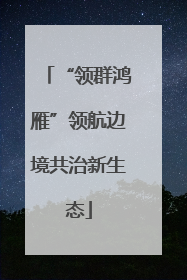 “领群鸿雁”领航边境共治新生态