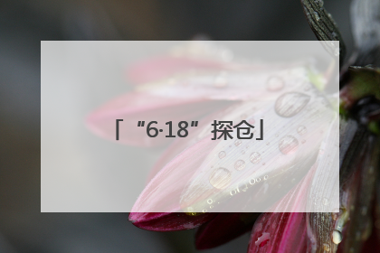 “6·18”探仓