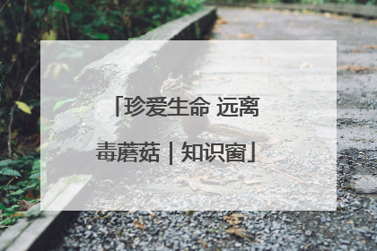 珍爱生命 远离毒蘑菇｜知识窗