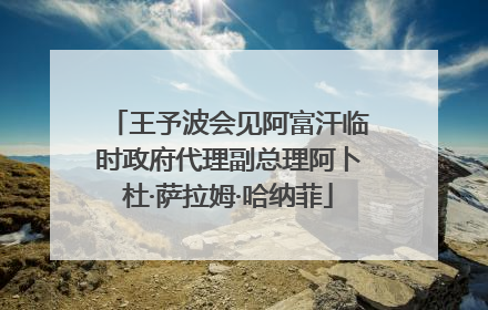 王予波会见阿富汗临时政府代理副总理阿卜杜·萨拉姆·哈纳菲