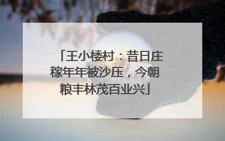 王小楼村：昔日庄稼年年被沙压，今朝粮丰林茂百业兴
