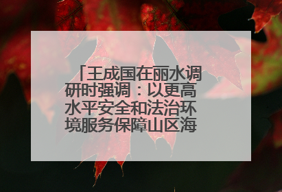 王成国在丽水调研时强调：以更高水平安全和法治环境服务保障山区海岛县高质量发展
