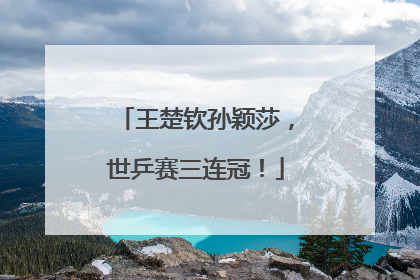 王楚钦孙颖莎，世乒赛三连冠！