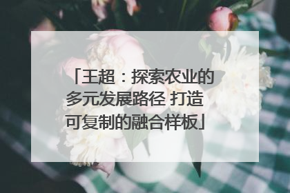 王超：探索农业的多元发展路径 打造可复制的融合样板