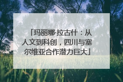 玛丽娜·拉古什：从人文到科创，四川与塞尔维亚合作潜力巨大