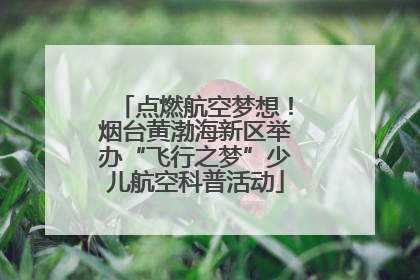 点燃航空梦想！烟台黄渤海新区举办“飞行之梦”少儿航空科普活动