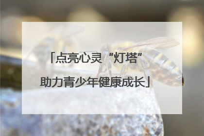 点亮心灵“灯塔” 助力青少年健康成长