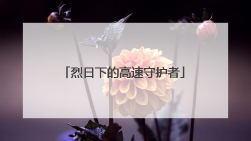 烈日下的高速守护者