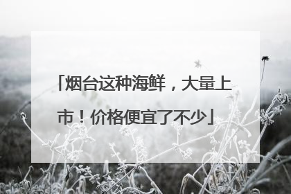 烟台这种海鲜，大量上市！价格便宜了不少